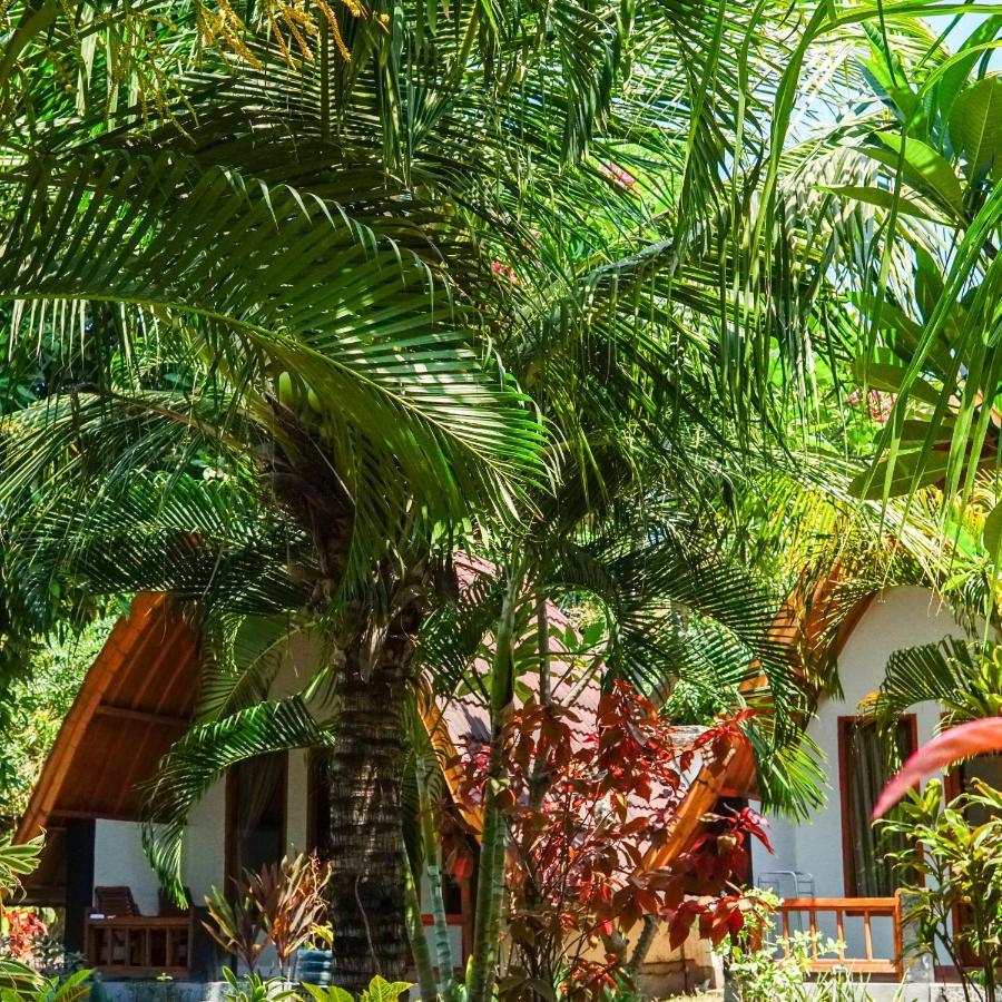 Отель Florine'S Garden Гили-Эйр Экстерьер фото